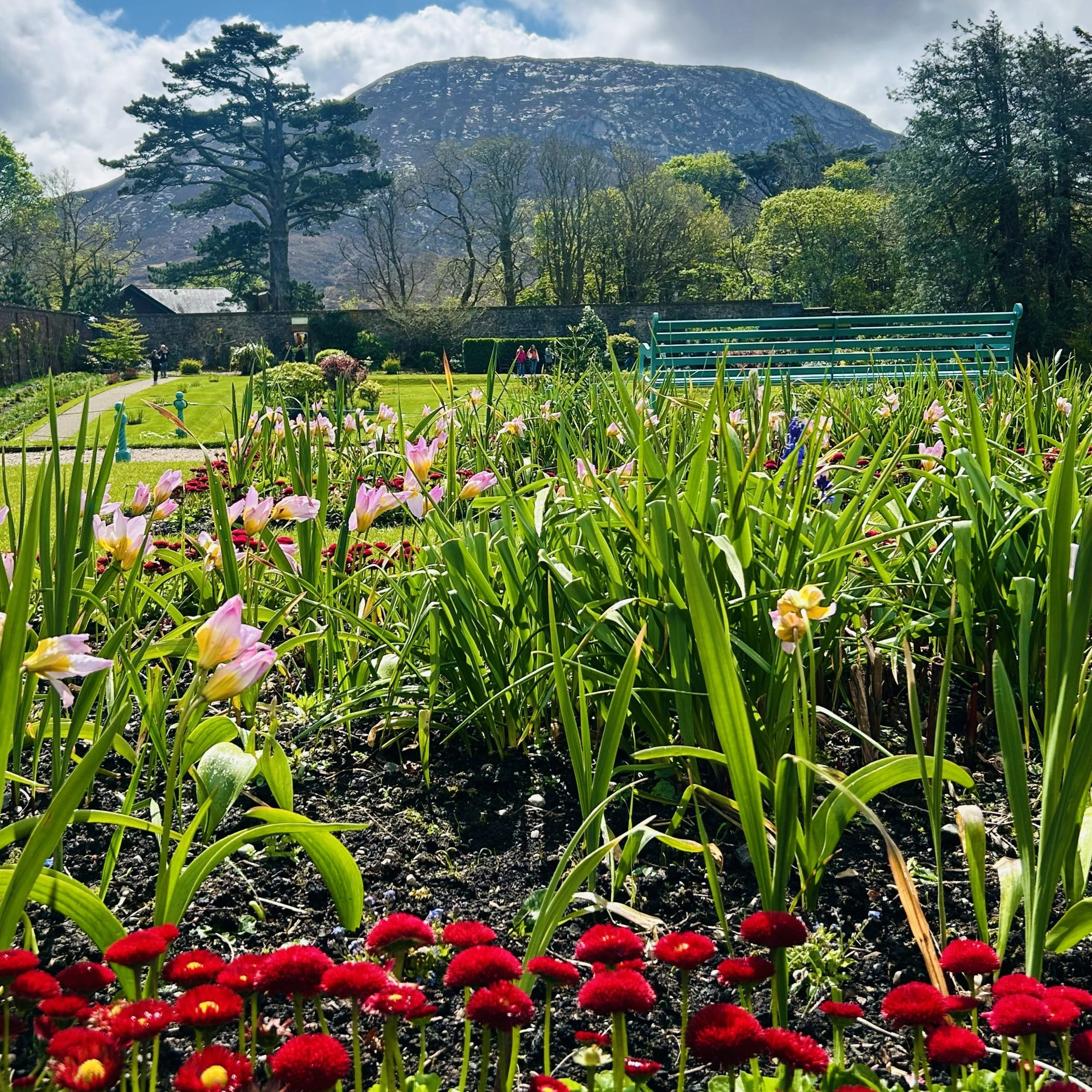 Jardines victorianos de Kylemore Abbey
