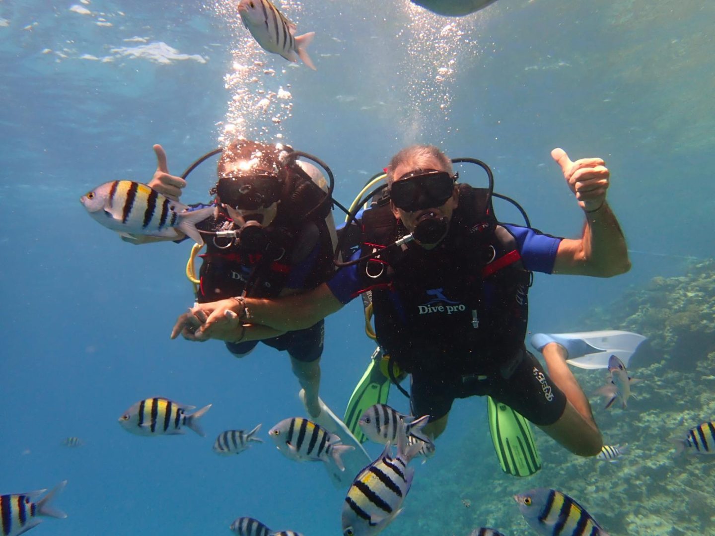 Qué ver en Hurghada: fondo marino y snorkel