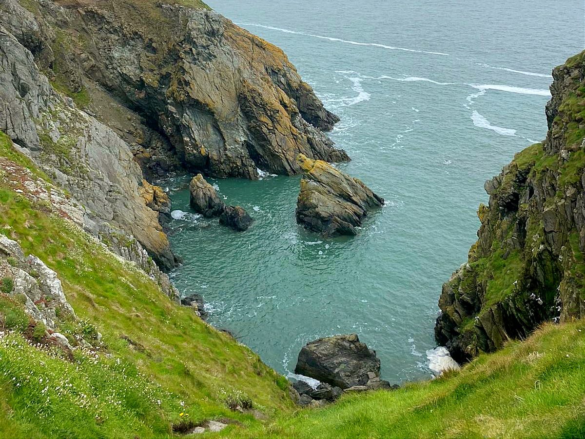 Tour en barco por la costa de Howth