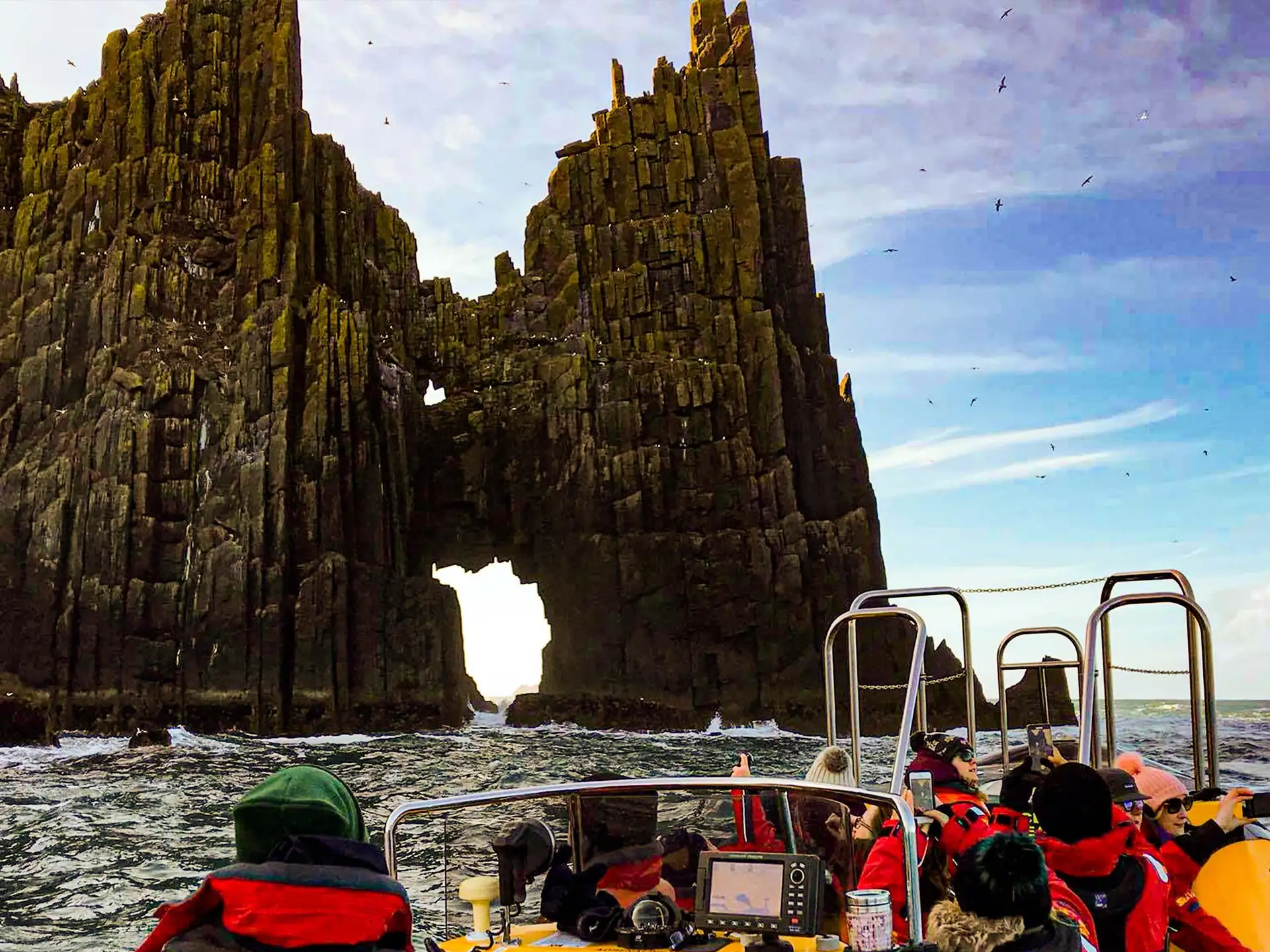 Sea Safari en Dingle en lancha rápida