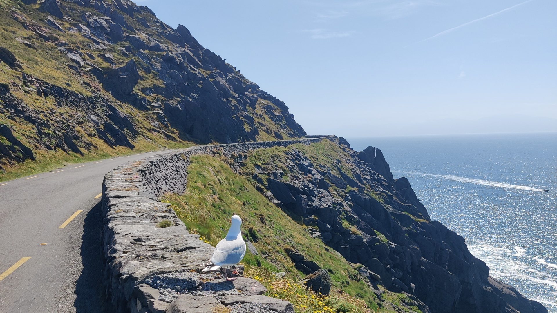 Dingle en la ruta por Irlanda en 14 días
