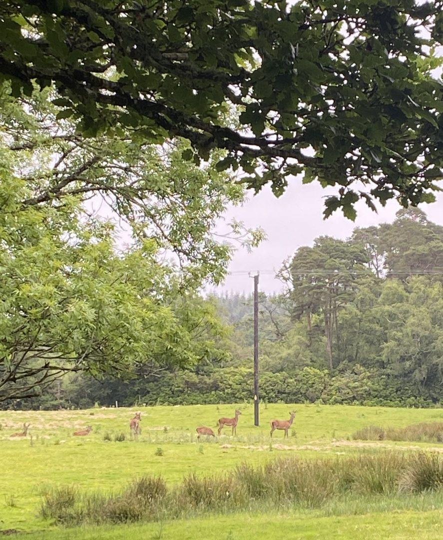 Killarney en la ruta por Irlanda en 14 días